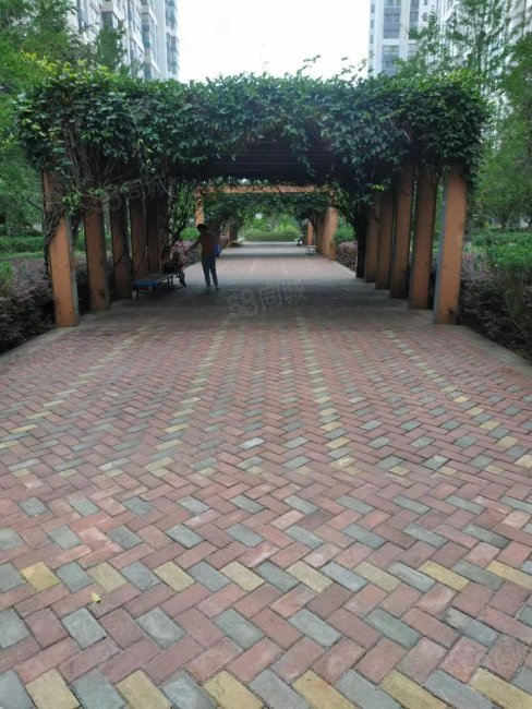 两梯两户,143平四室,证在手满2年,户型方正,阳光上城-曲靖58同城