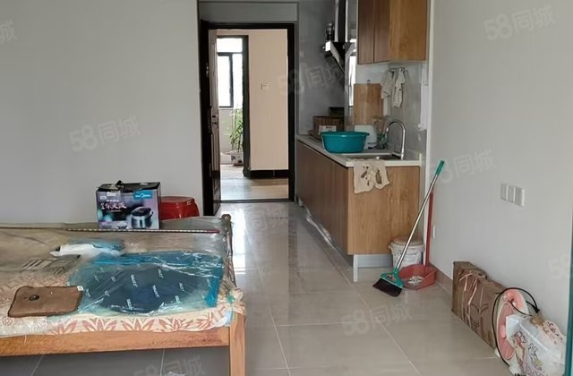 天长椰风水韵1室0厅41.49㎡21万二手房图片