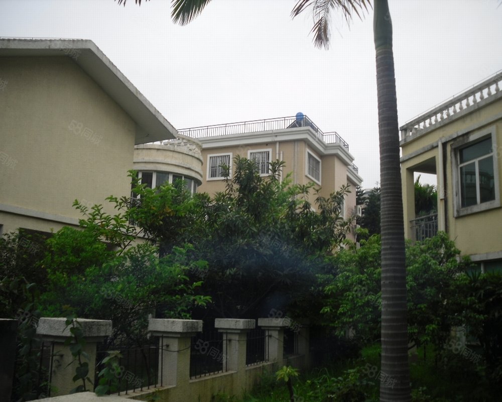 【龙泉别墅, 龙泉别墅小区详情,房价走势,房源,业主论坛】- 深圳58