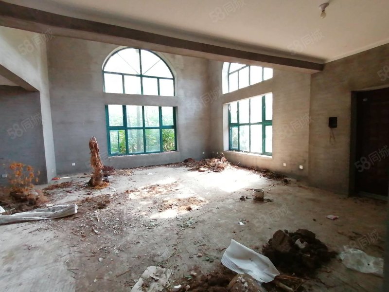 【10图】阜阳纯独栋别墅区 名仕豪园独栋送半亩地大院 急用钱出售