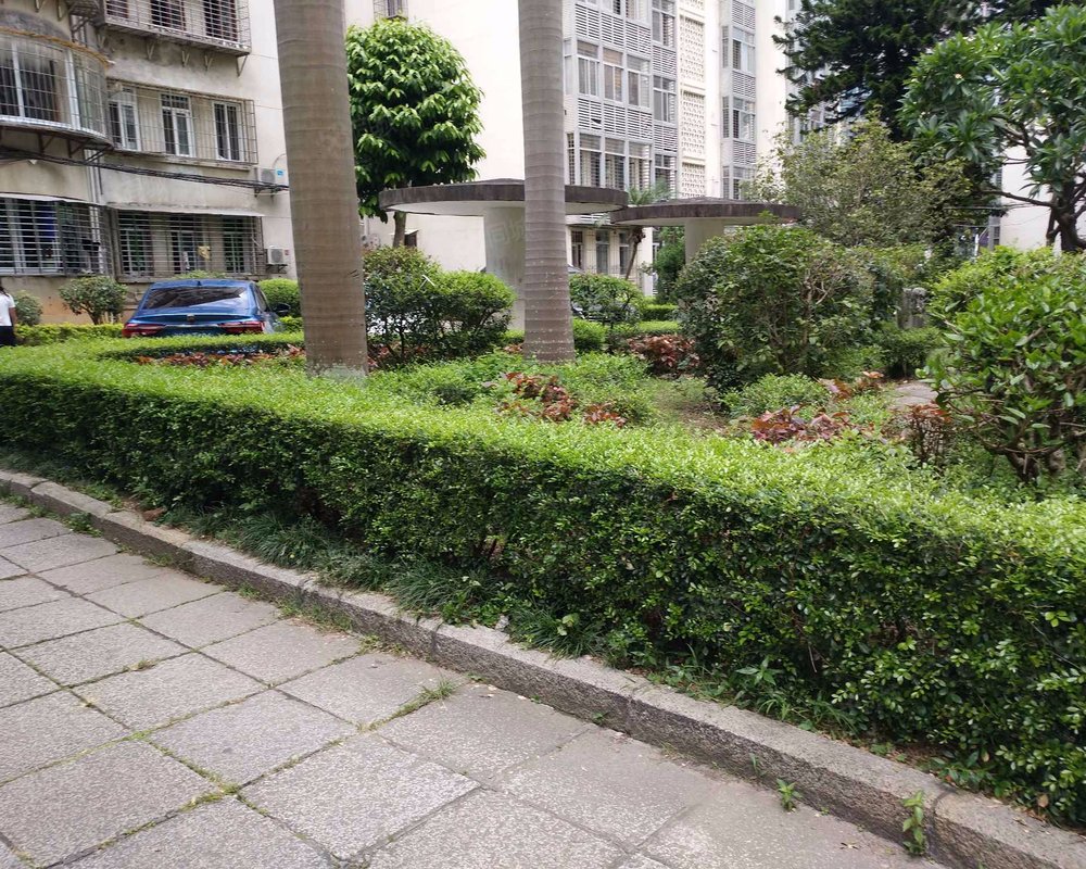 【嘉美花园, 嘉美花园小区详情,房价走势,房源,业主论坛】- 厦门58