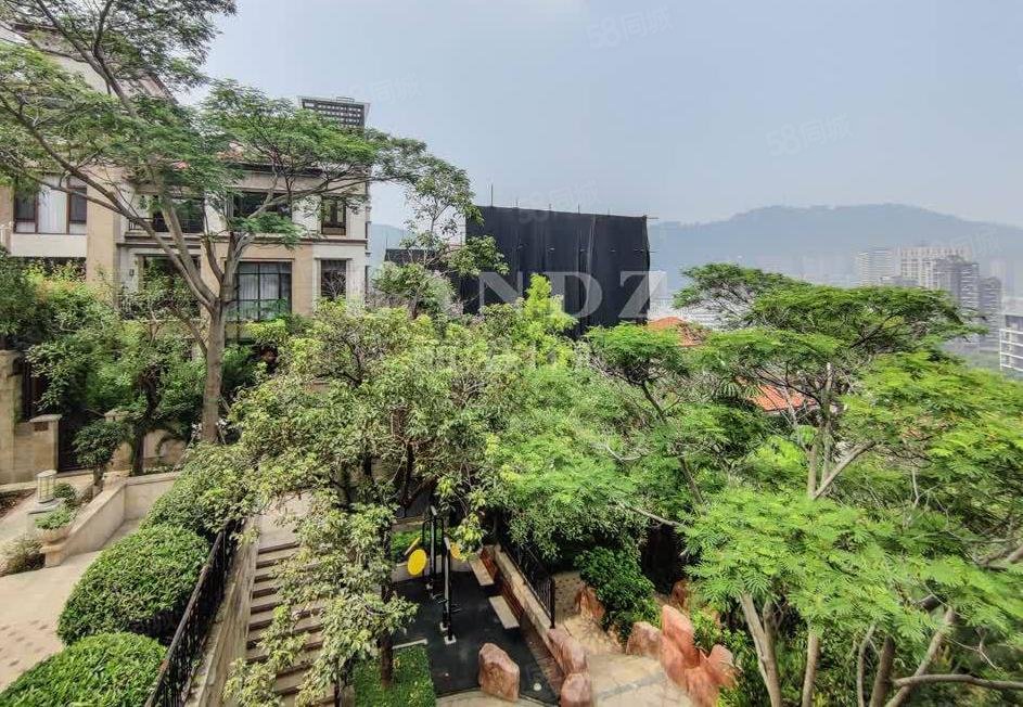 恒裕开发,12年次新纯别墅区,单层150平上,大南山紫园(别墅)-深圳58