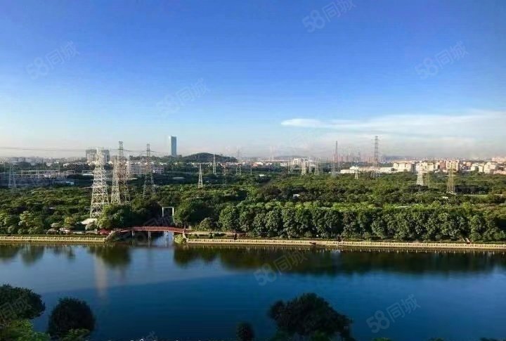 雅郡花园新港东路48号3室2厅2卫1141平方米