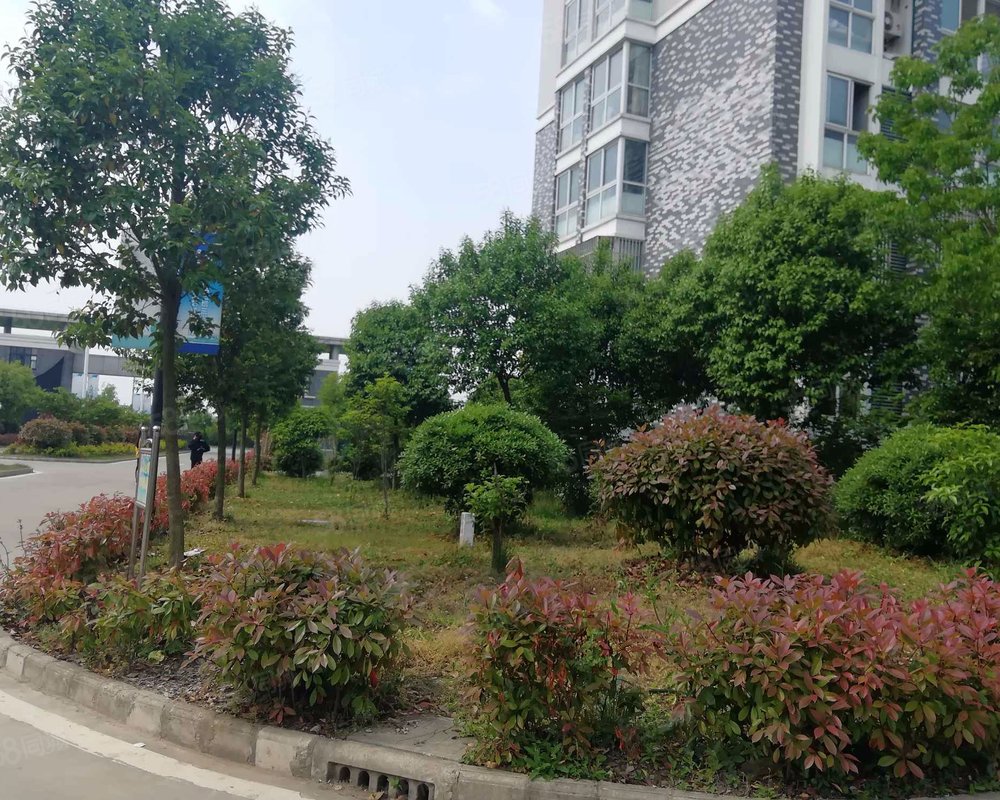 【龙湖新村 龙湖新村小区详情,房价走势,房源,业主论坛 盐城58