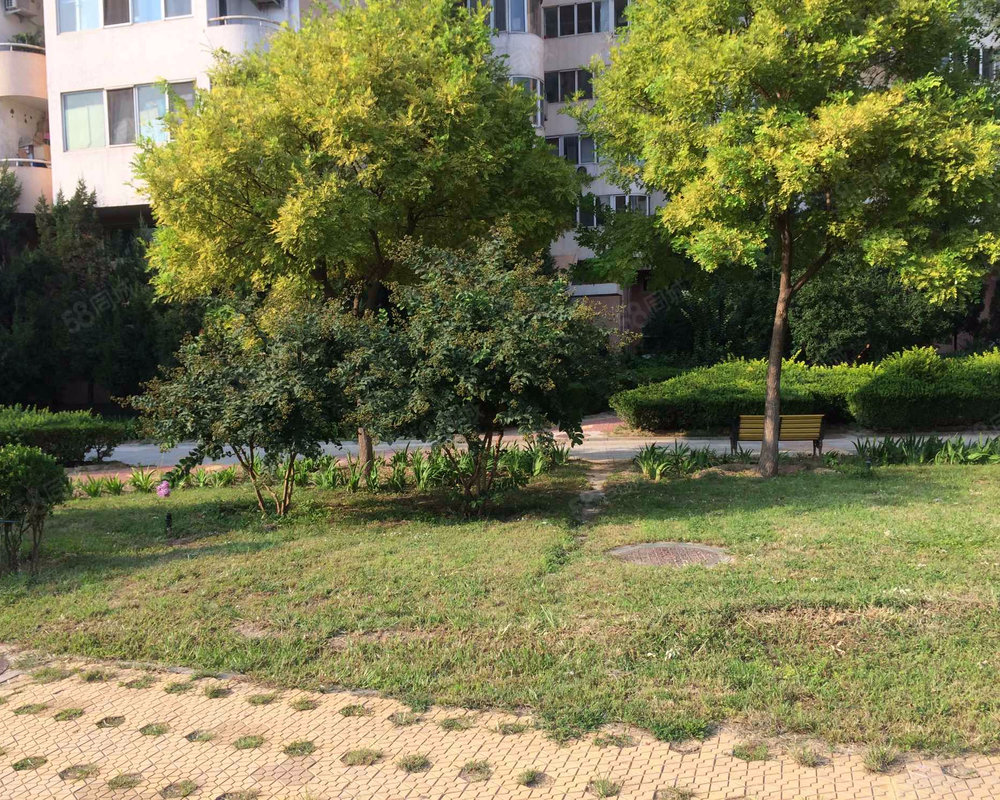 莲花小区