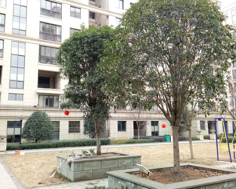 【北岭雅苑, 北岭雅苑小区详情,房价走势,房源,业主论坛】- 武义县58