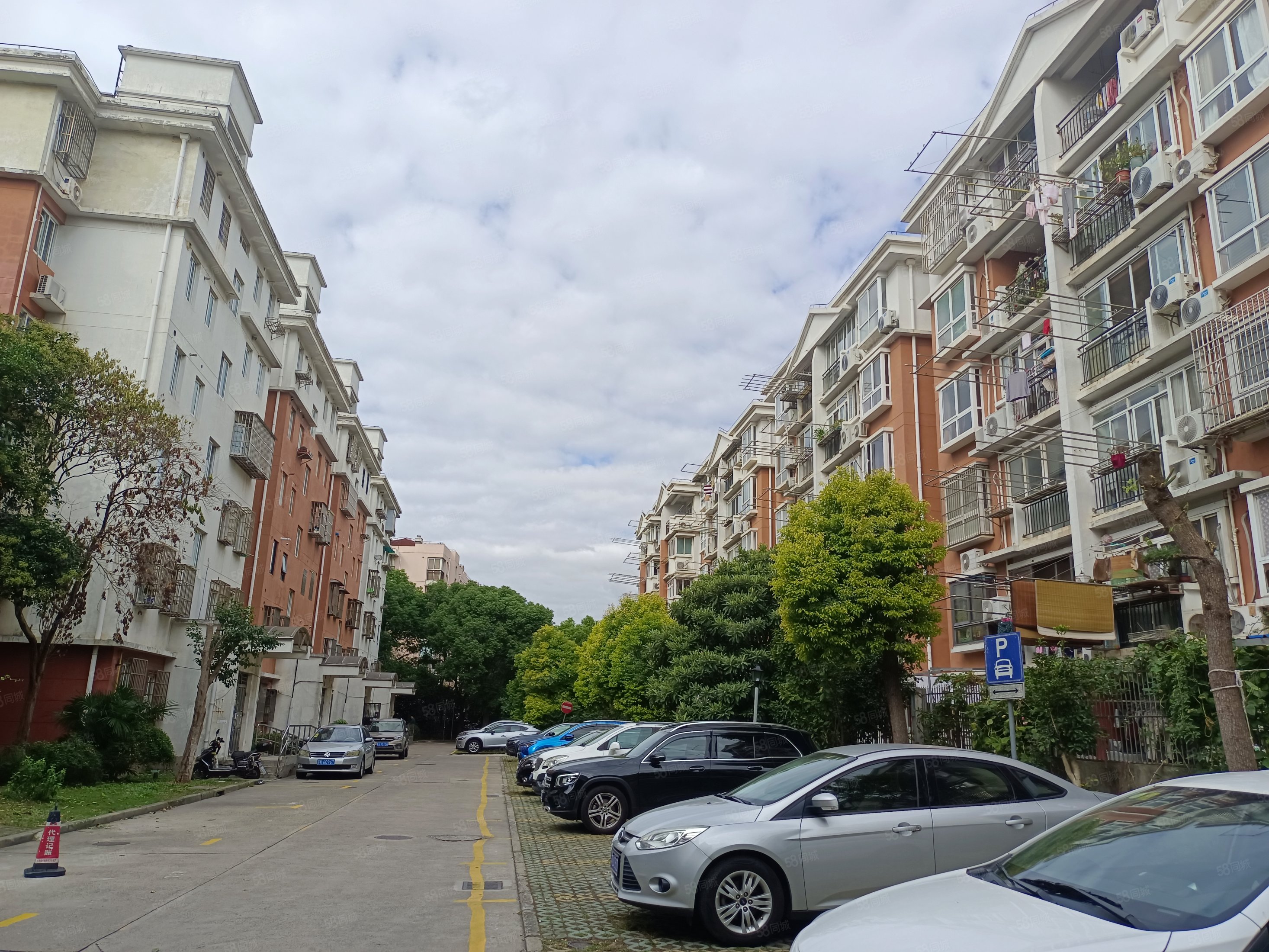 绿地御桥苑3室2厅1卫87.28㎡南北550万