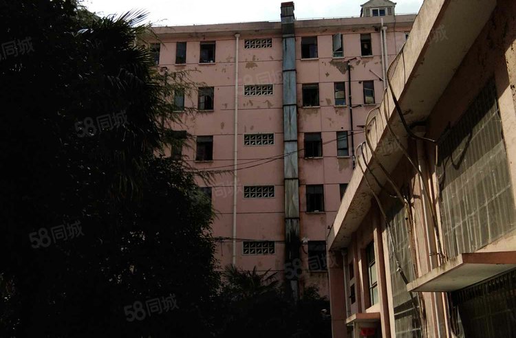 虹梅路2964弄小区