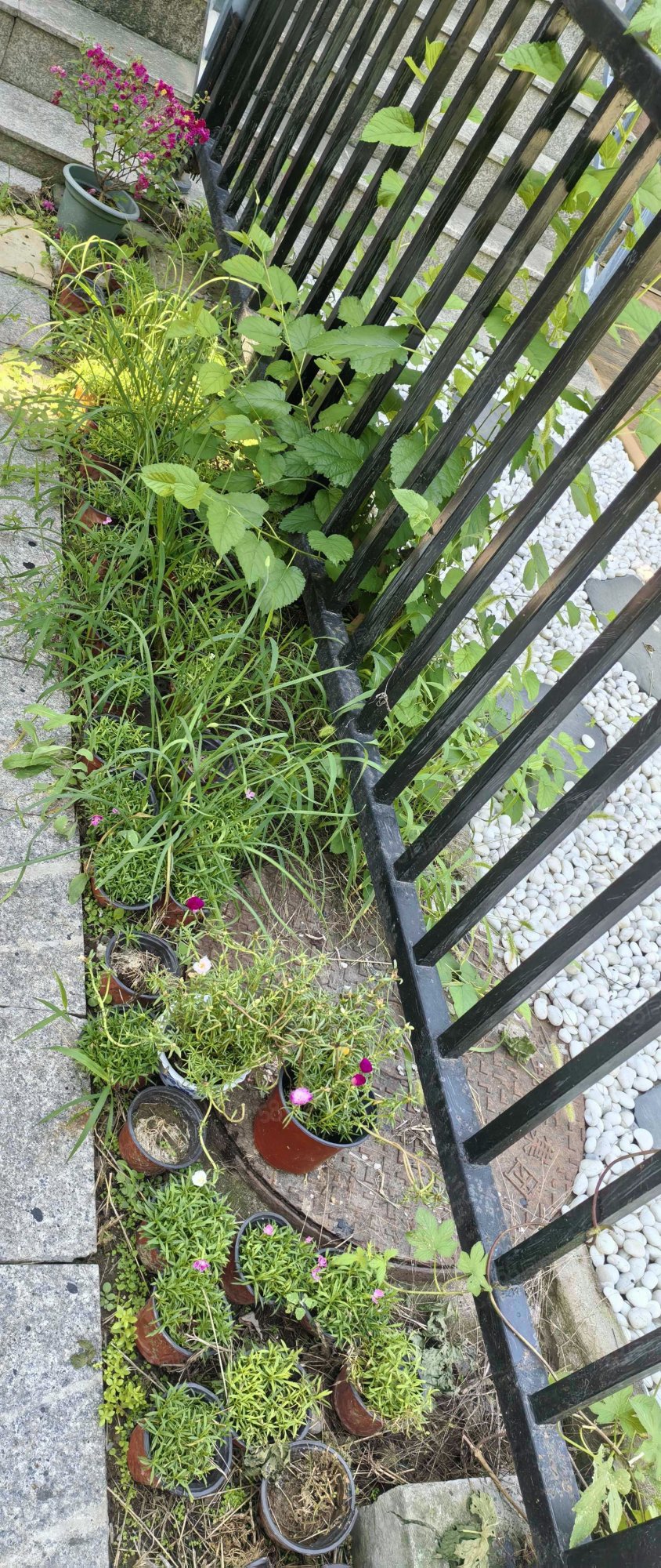 水色時光別墅6室3廳2衛(wèi)218.47㎡南北498萬