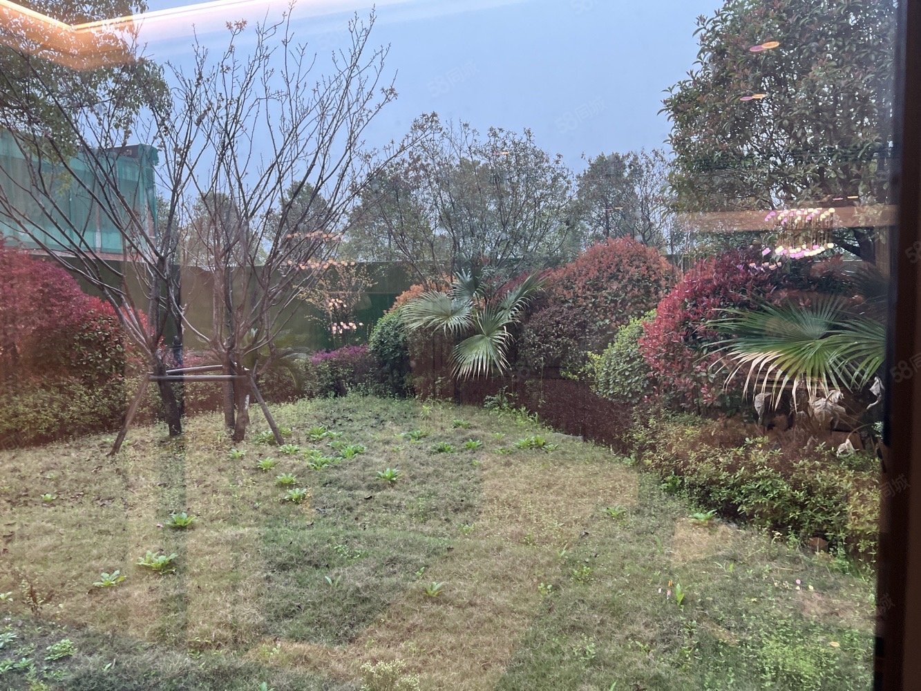 长房武陵府 现房 既买既 电梯中层,长房武陵府-常德58同城