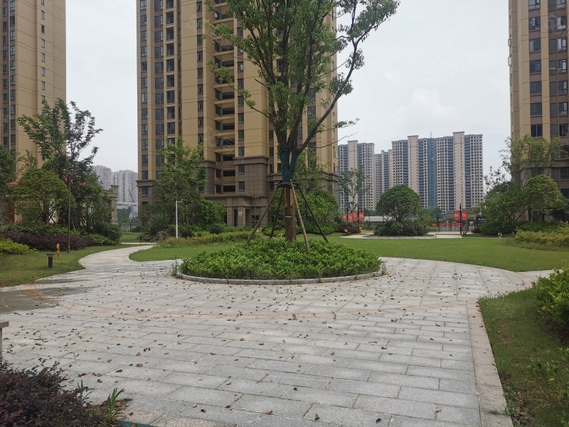 监利博森翰林城3室2厅2卫126㎡南北96.8万