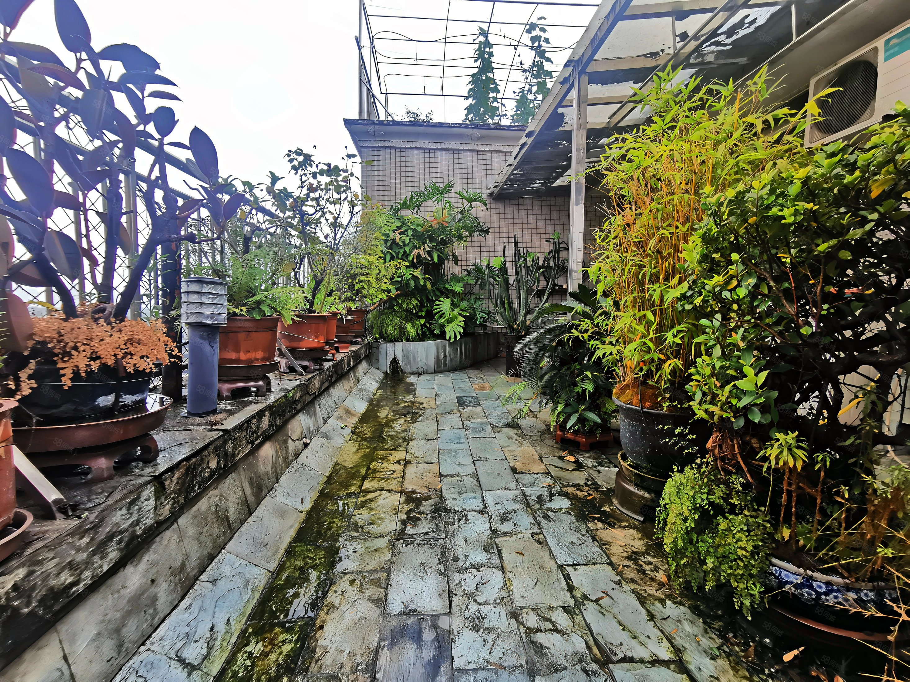 满五 产权清晰 有电梯 购物方便 板楼,天邑花园-成都58同城