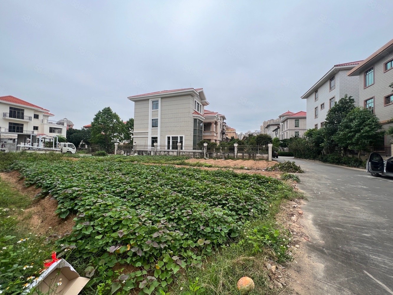 阳东花园东西区别墅地大10余条在售