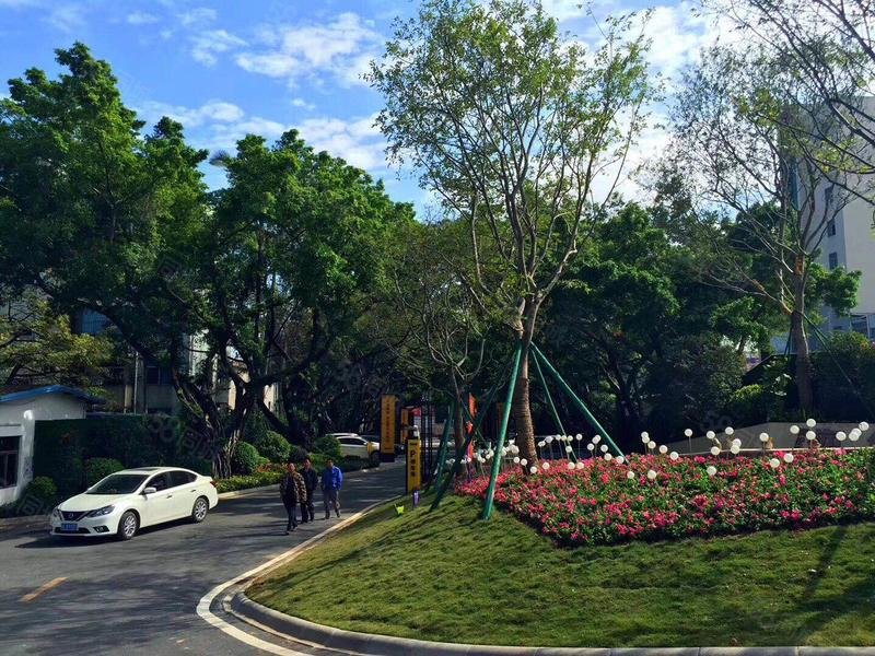 双高铁 楼下就是仲恺汽车站 沃尔玛商圈 看房接送,曙光路208号-深圳58