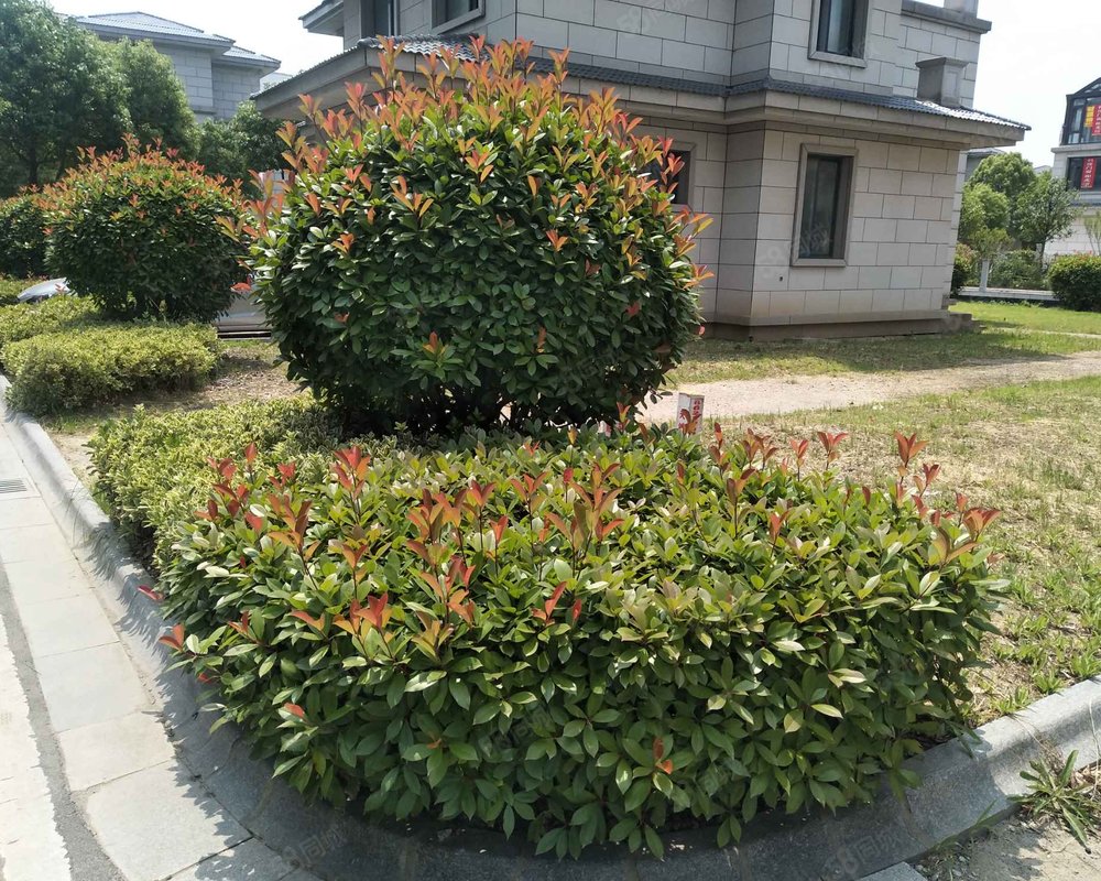 【御墅东方, 御墅东方小区详情,房价走势,房源,业主论坛】- 建湖58