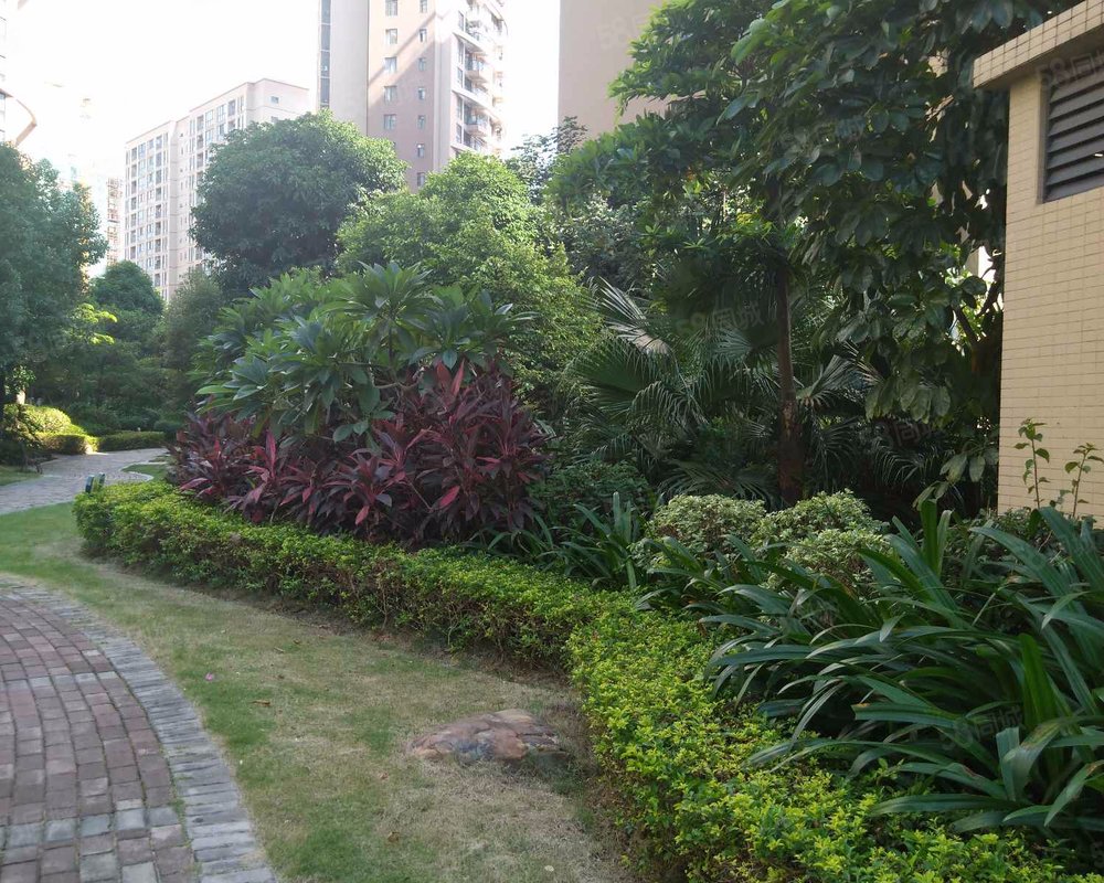 【香樟林, 香樟林小区详情,房价走势,房源,业主论坛】- 南宁58同城