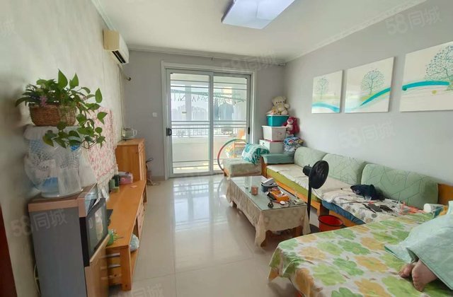 房东急售 二中 金柱文苑 电梯中层 精装两室 一口价58万