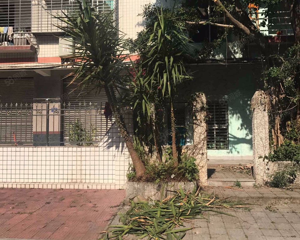 【新安小区, 新安小区小区详情,房价走势,房源,业主论坛】- 厦门58