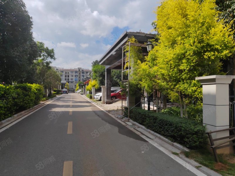 文萃景园4室2厅2卫144㎡南北90万