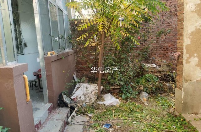 老文轩 龙山 一楼 独门带院（约40平）免大税  看房方便