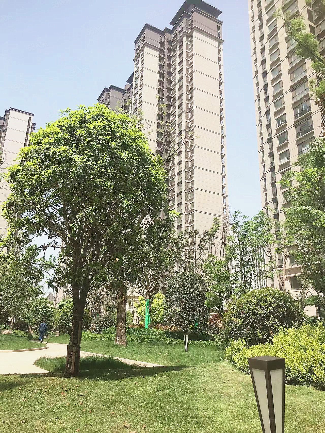 天耀雍华公馆d区3室2厅2卫127㎡南北69万