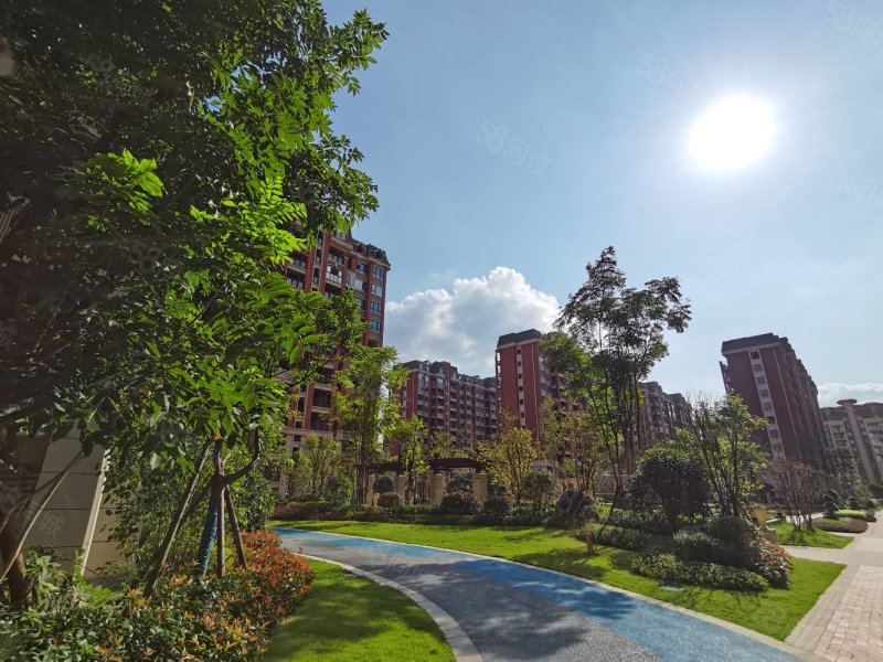 观澜梧桐郡-广安58同城