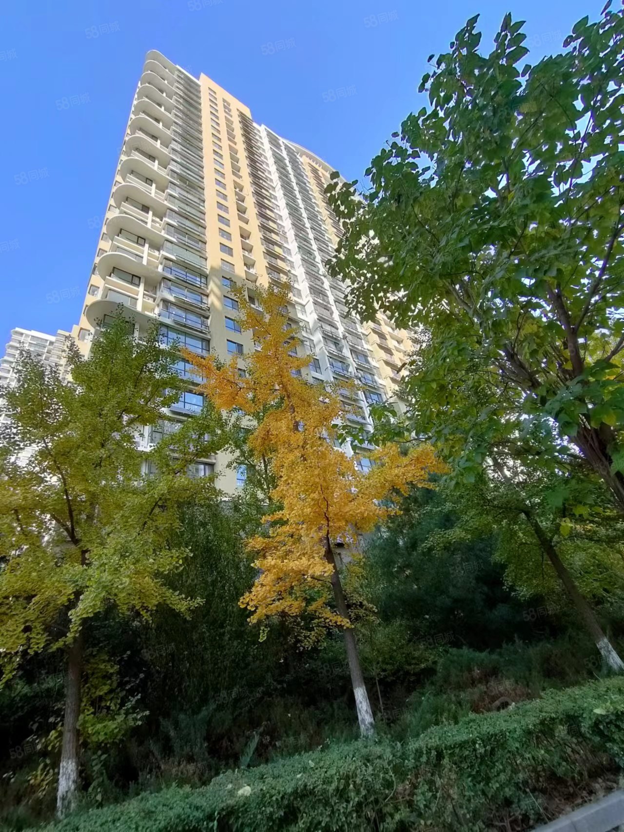 真正海景采光视野位置都好的大三居我首推这套森林逸城