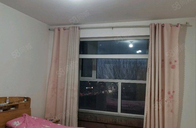 星光物业，东边户带车位储藏室，好楼层单价五千多，三叶草户型