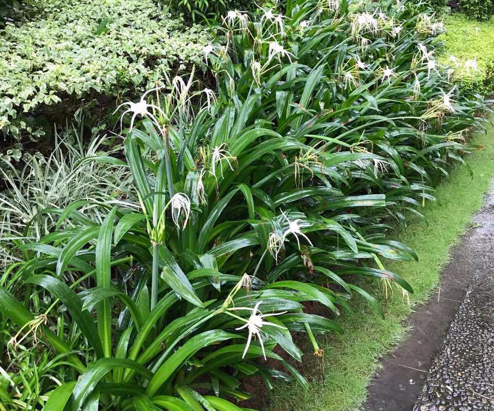 潜龙曼海宁(北区)