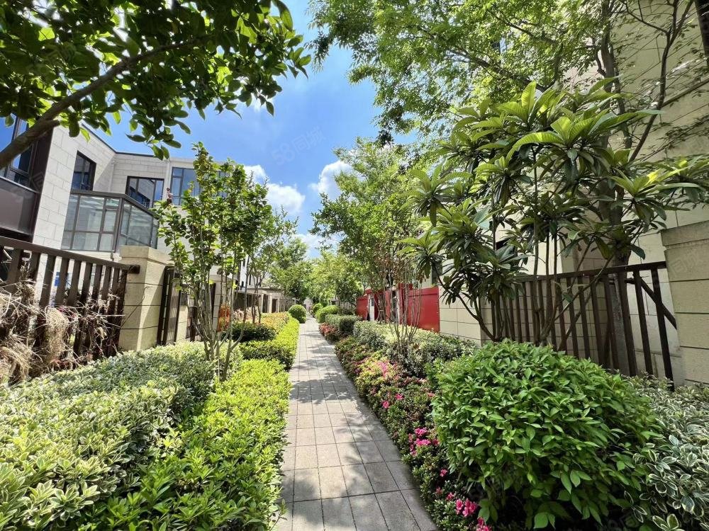 白鹭名邸(别墅)5室2厅3卫234.99㎡南北1250万