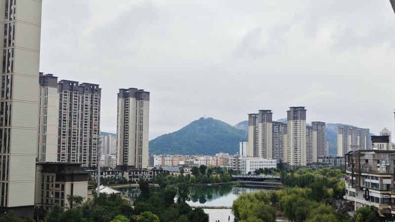 吾悦广场悦湖公馆3室2厅2卫118㎡南北78.8万