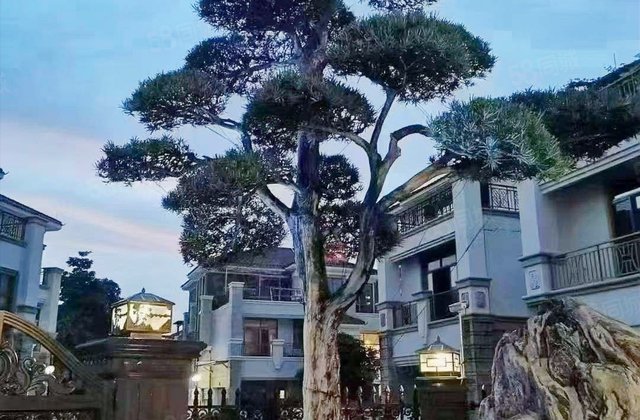 康格斯花园(别墅)5室2厅500㎡1380万二手房图片