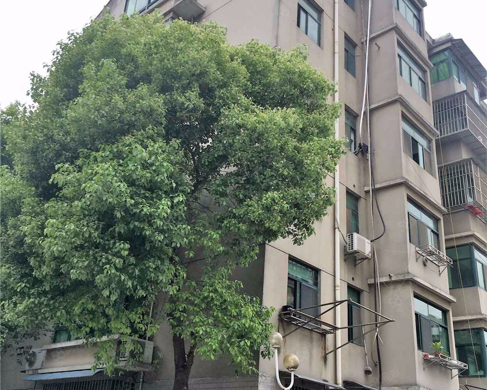 【天虹山庄, 天虹山庄小区详情,房价走势,房源,业主论坛】- 南京58