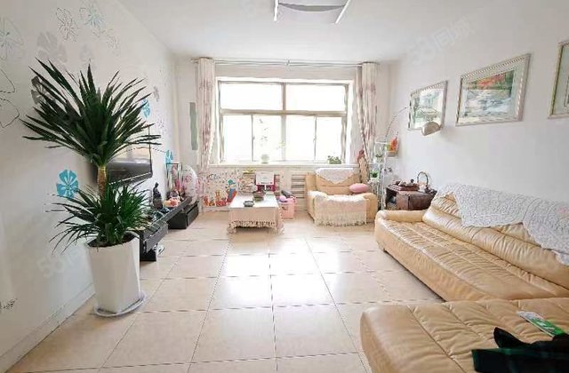 振兴路新纺街 市建委家属院 精装三室 带电梯 免大税有储