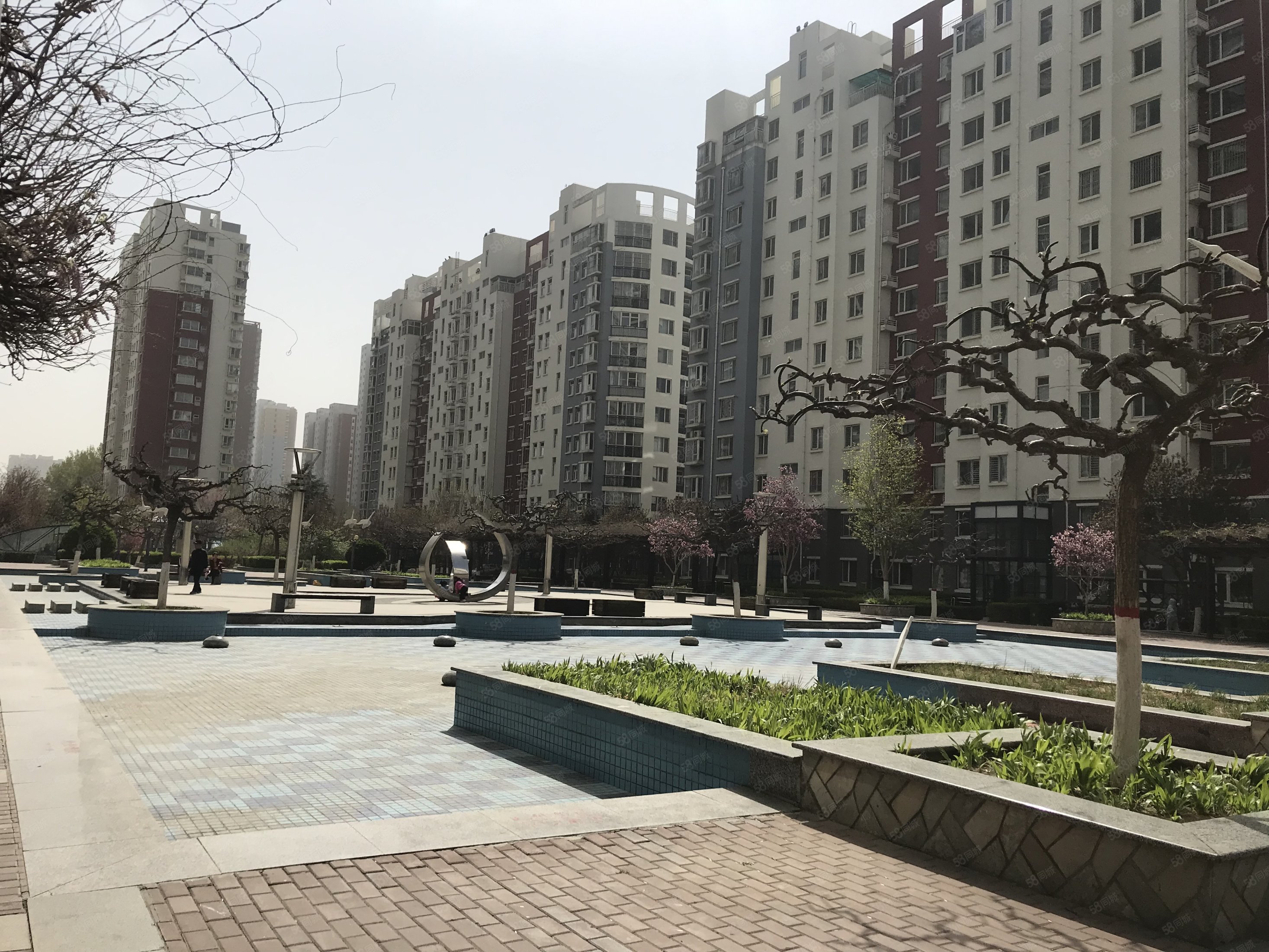 好楼层明厨明卫大三居双卫落地窗大客厅丽景蓝湾a区