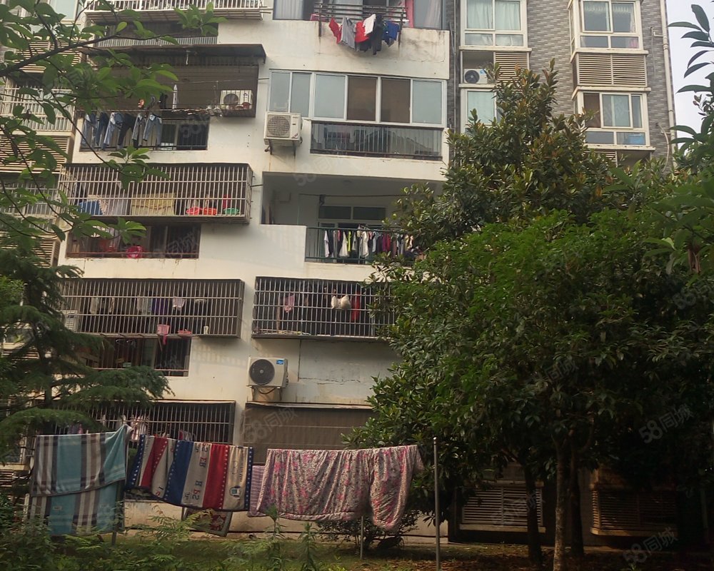 【青菱小区, 青菱小区小区详情,房价走势,房源,业主论坛】- 武汉58