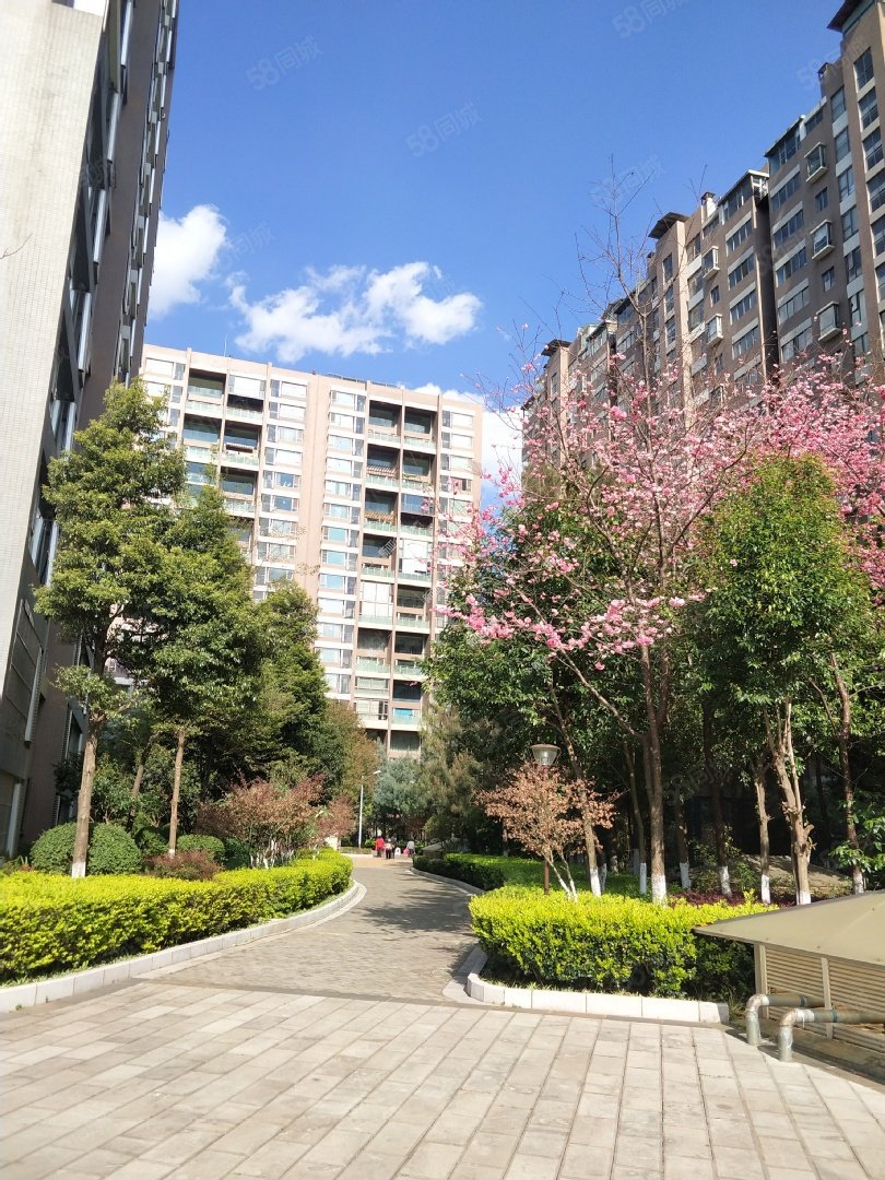 金江小区瑞园5室3厅4卫286㎡南北560万