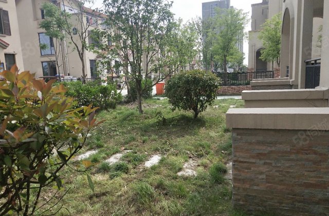 【11图】八菱华庄精装别墅全屋地暖231平468万!,西环路-盐城58同城