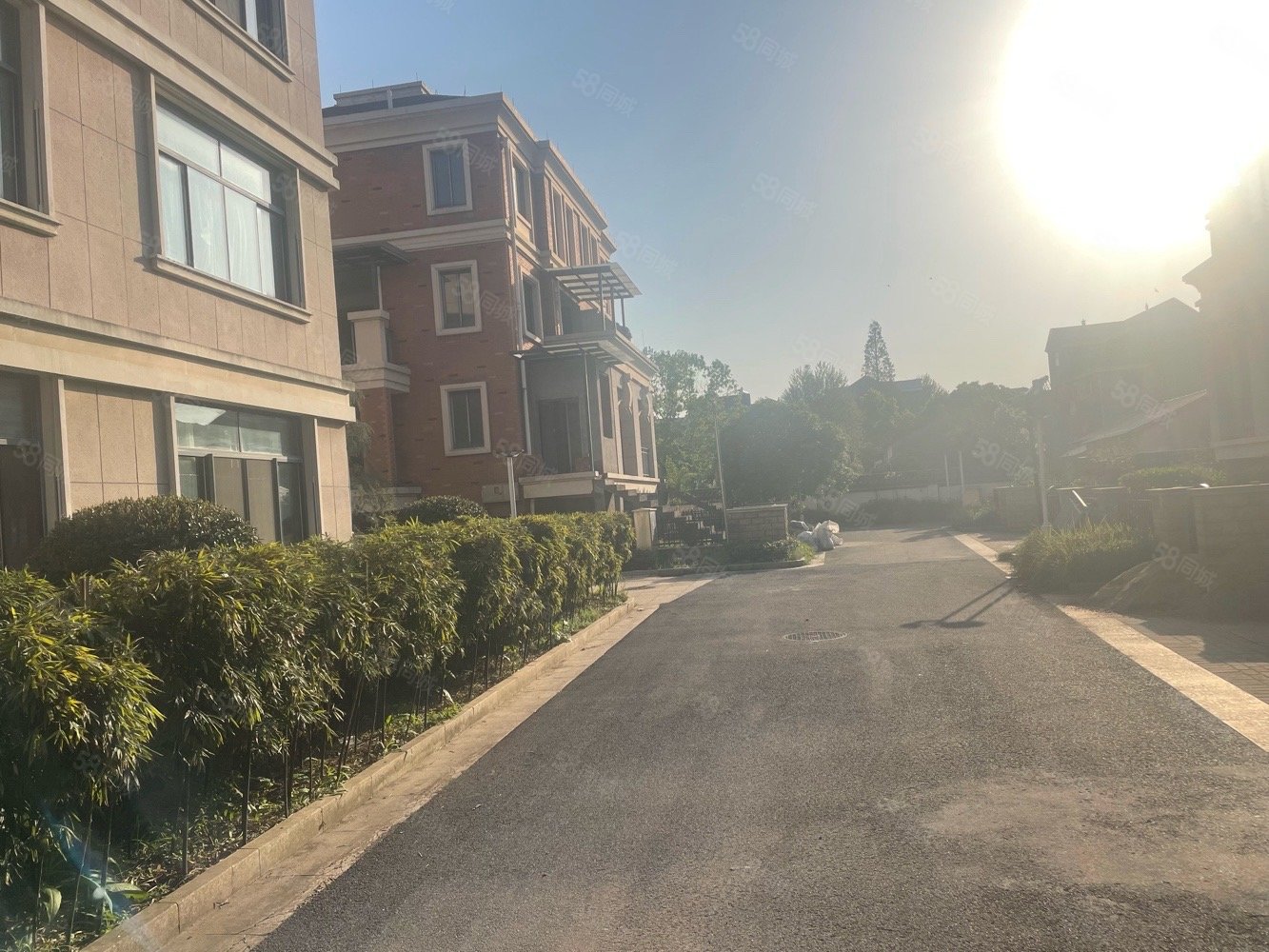 金义大独栋明德居上证600平超大花园满二