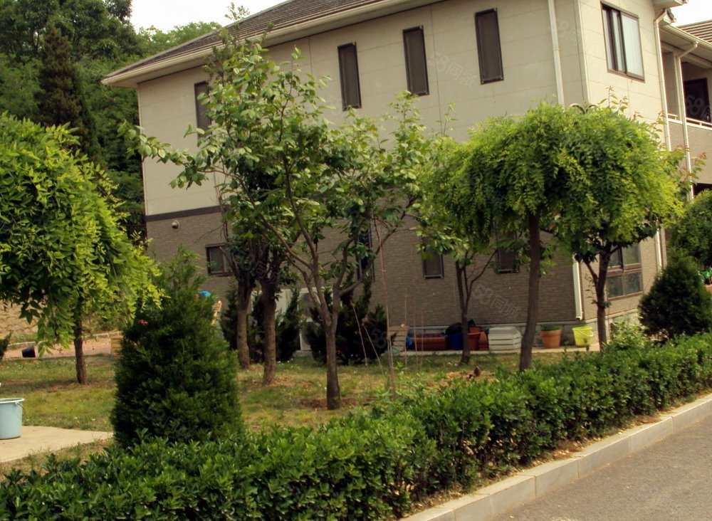 【樱花别墅, 樱花别墅小区详情,房价走势,房源,业主论坛】- 大连58