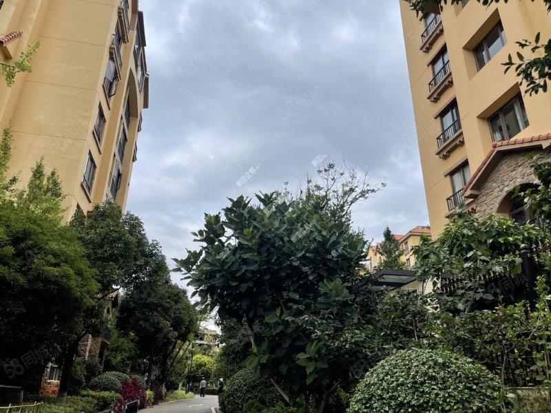 度假区178平南北4房376万好楼层精装万和花园