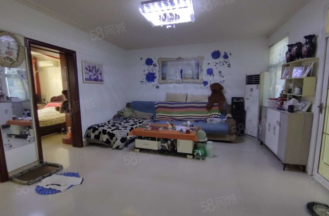 站前街金立文苑附近一诺林花小筑电梯洋房免大税带储藏室