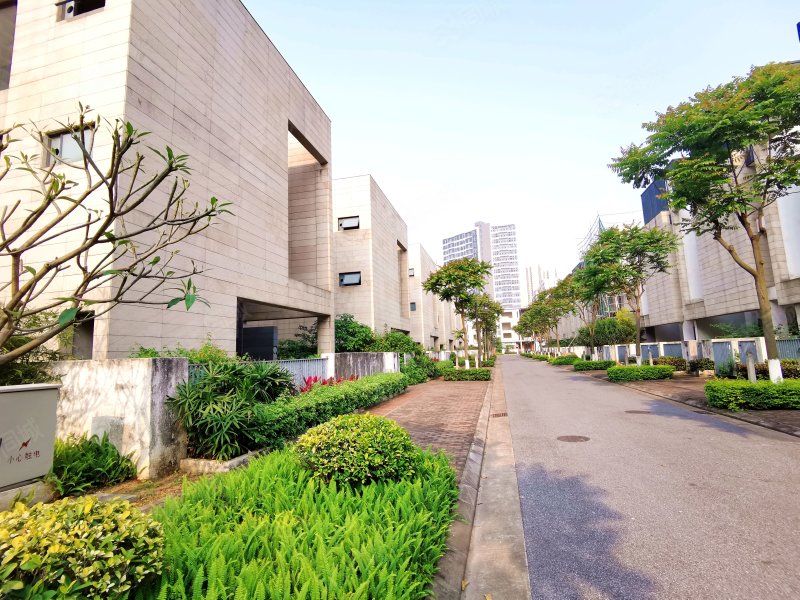 东逸湾剑桥水岸独立别墅占地500方后花园超靓大水景