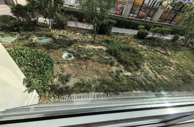 观澜一品城市主人湖边一楼带院 豪华精装