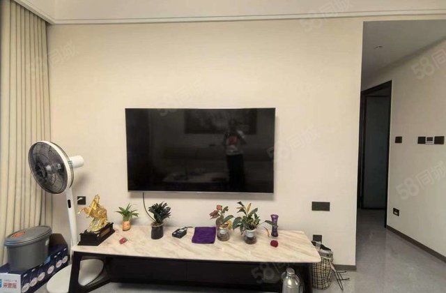 南北通透 电梯房 3室2厅 精装修 湖语上院 房东急置换 诚