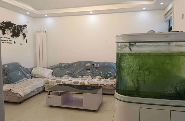 诚心出售香江亚龙苑 南北通透 商品住宅 电梯房产权清晰