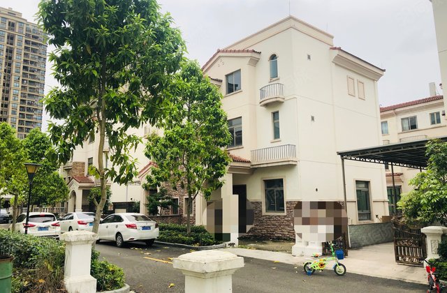 碧桂园桐林人家别墅 位置好 精装房采光好 税费低