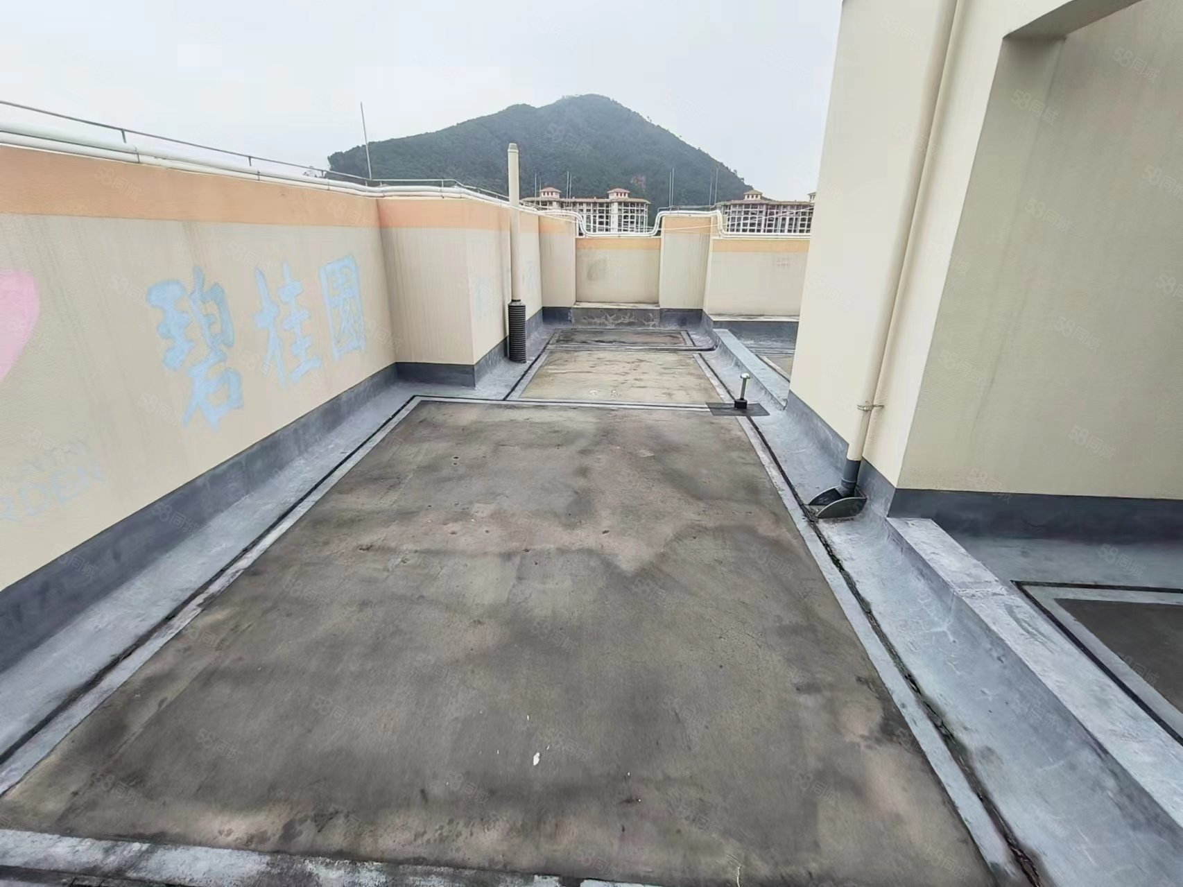 碧桂园凯旋华府4室2厅2卫153㎡南北138万