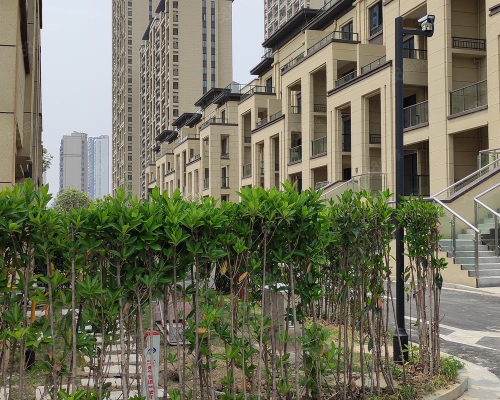 新松华鸿国樾府小区详情,房价走势,房源,业主论坛】- 阜阳58同城