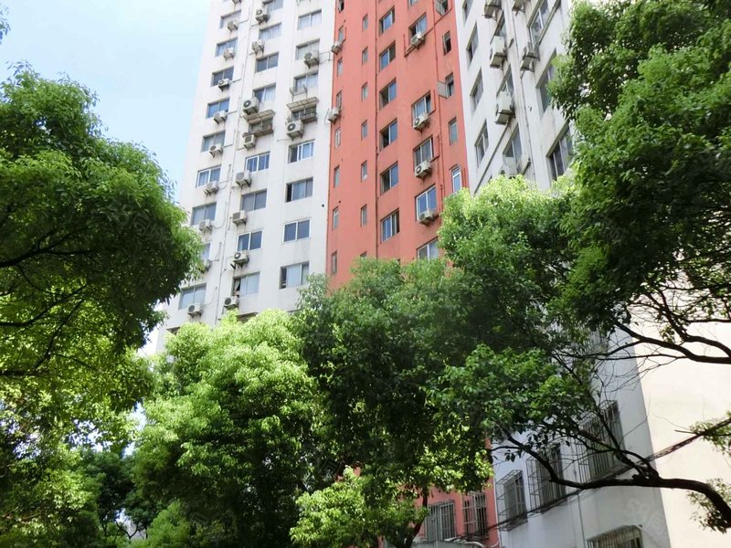 【24图】正南,2室2厅,金谷园小区,漕溪路125弄-上海58同城